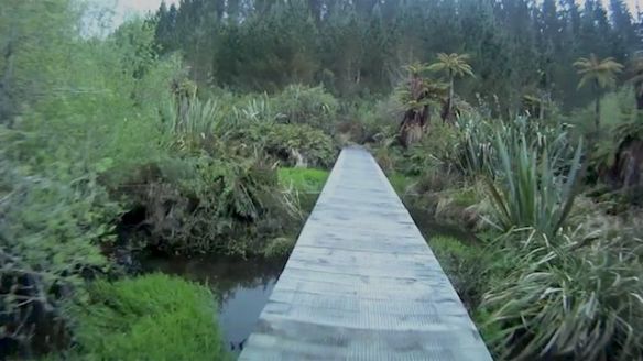 One of the many board walks\bridges