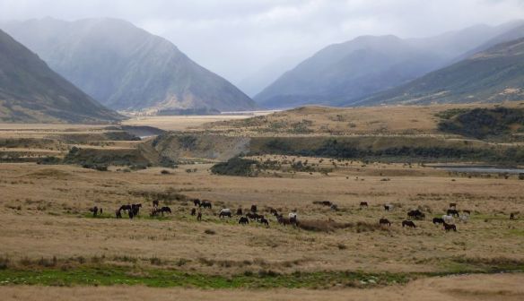 Brumbys on the once St James Station