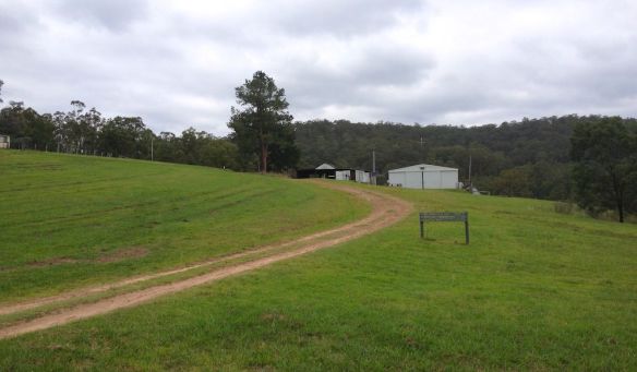 Yengo Homestead - refreshing tank water behind the shed!