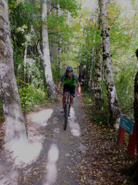 Recovery ride in Hamner Springs forests, day after the St James Cycle Trail