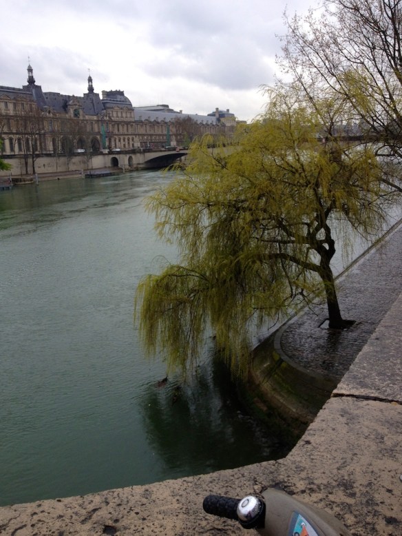 Taking in the the Seine River