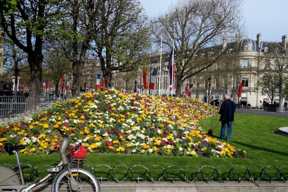 Red jacket in the huffie basket, spring flowers blooming and, of course, a French gentleman taking his little pooch for a walk.