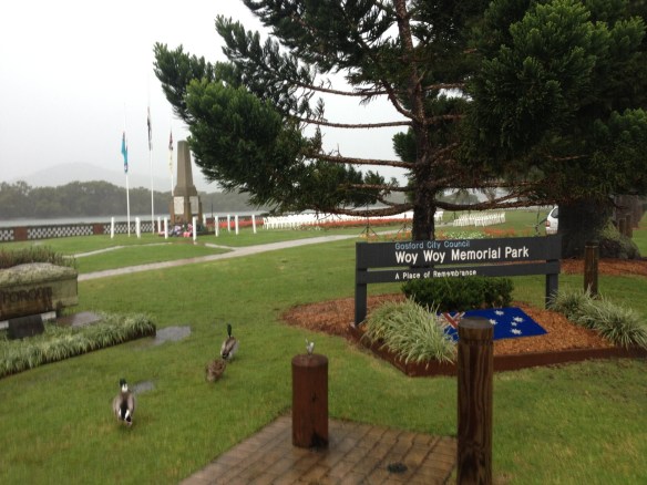 The ducks loved the weather