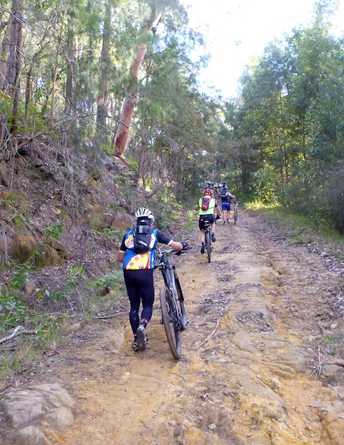 I had to stop to take this picture - otherwise I would have kept riding of course!