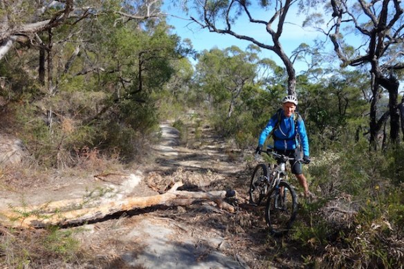 Great North Road - convict built in 1830 for 29er riders of the future