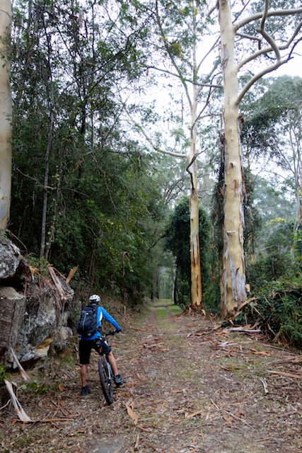 Bottom end of Simpson Track - 4 km gradual ascent ahead
