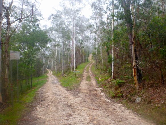 Donolly track to the right and up the hill - the shortest route to Single Track