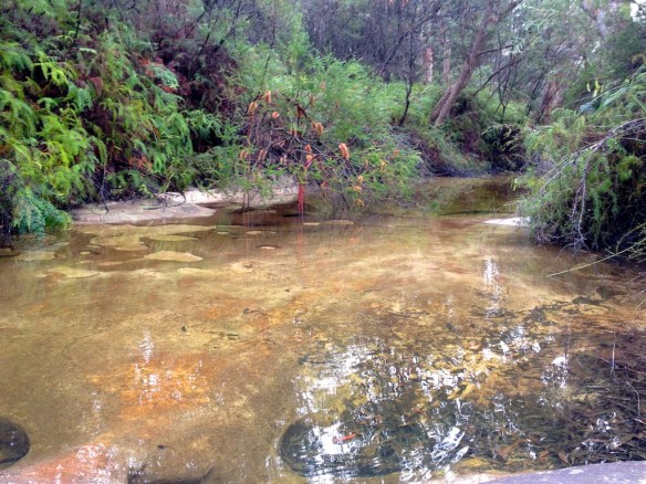 Rocky Ponds - this is just one of the still pools. There are some cascades further in.