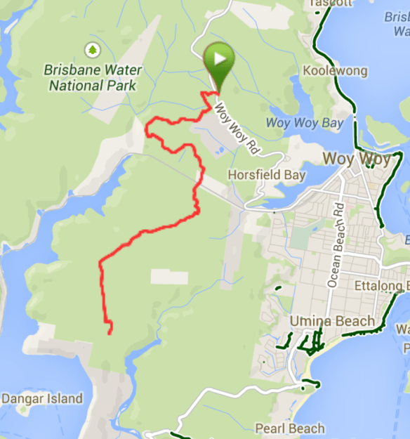 Screen Shot 2014-09-19 at 9.01.51 pm