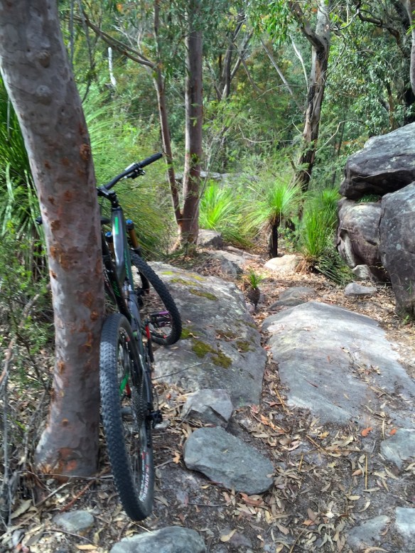 Steeper here than it looks in the picture - bike  carrying section this one!