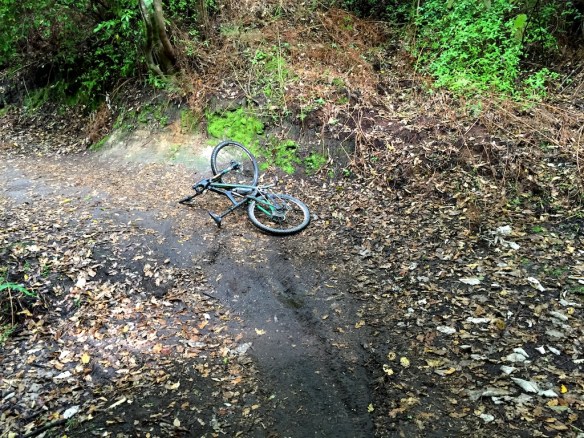 Beautiful track, no way to treat a beautiful bike!