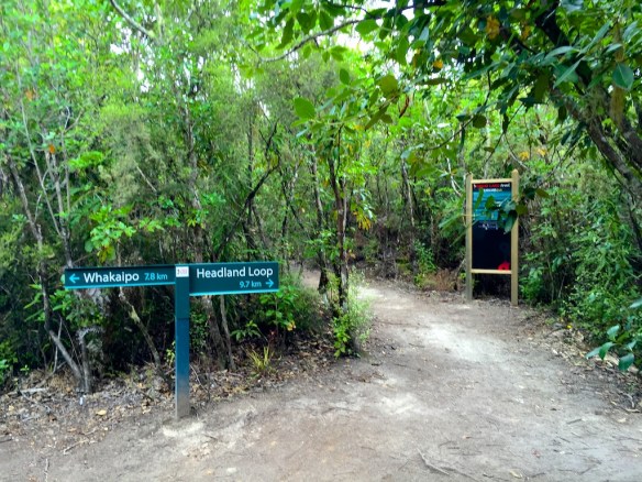 Your choice -  I didn't have time to do the popular Headland Track but its on my "must do list" for the next trip to NZ