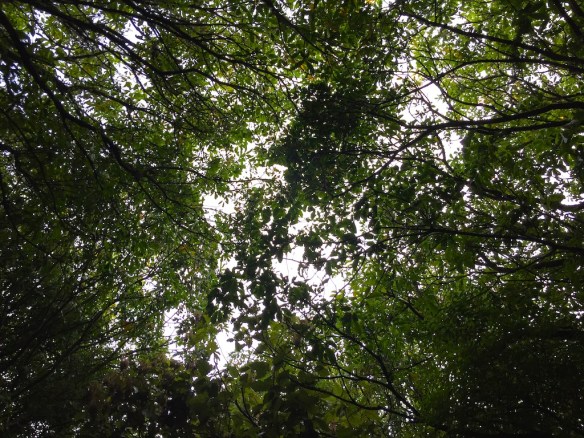 Not a bad view when all said and done, if you can se past the pain in your shoulder and the disappointment of going down!