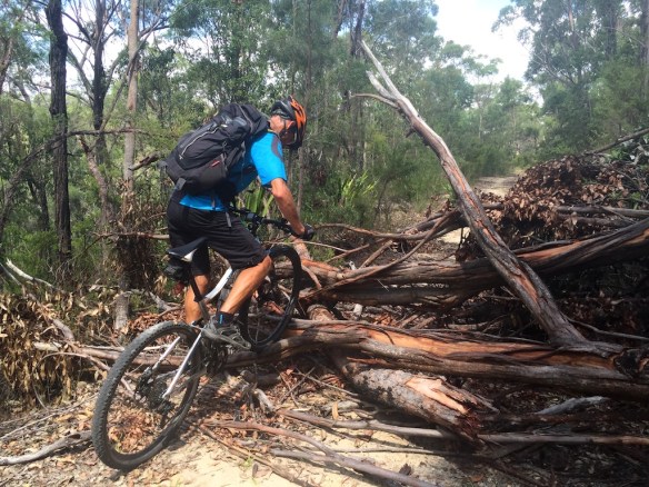 Of course he won't ride over one of the several fallen tree obstacles - but he will pose for a photo .....