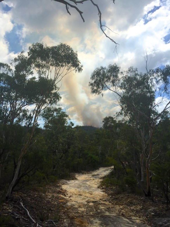 By the time the running repairs were complete, the controlled burn was underway.