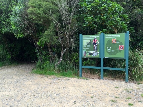 Trail head in Pureora - weather was very kind, perfect riding conditions. I had been suffering from the flu a few days before so was a little nervous as to how the body would cope with an 85 k day ride!