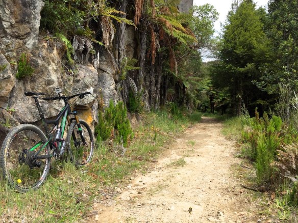 Timber Trail gets its name from the fact that in years gone by a thriving timber industry made it's mark in these forests. A large portion of the second half of the Trail exists because it was created for railways to move out the logs. Its a flattish fast section with very find railway cuttings that nature has decorated nicely over the years since the railcars stopped running.