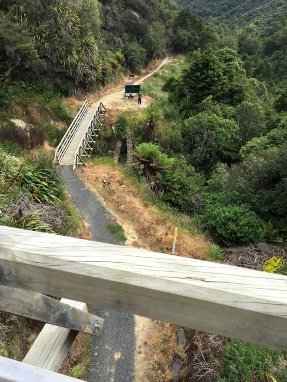 View from the top of the Ongarue Spiral - The Spiral was used to get the Tramway up this steep pinch