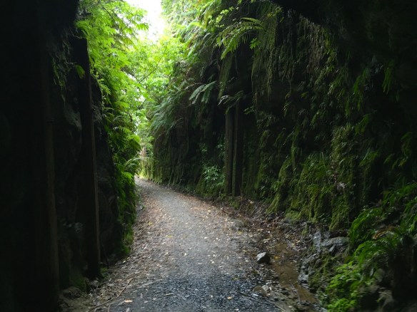 Inside the Ongarue Spiral