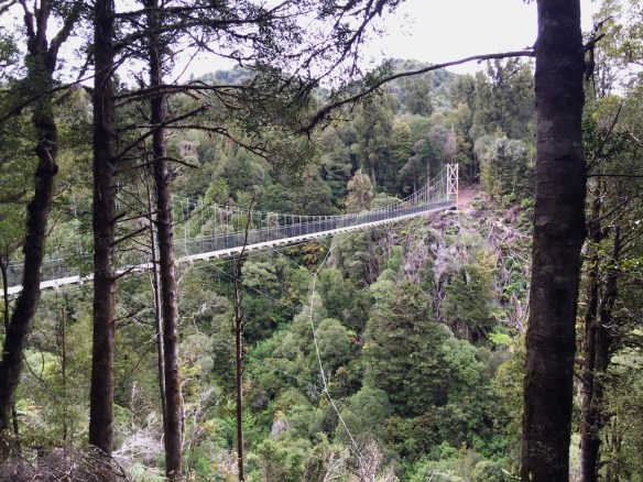 The Kiwis are doing a fantastic job carving tracks through their amazing wilderness areas - making it possible for cyclists to soak it all in on their trusty bikes! A symbol of their dedication to allowing us to ride the Timber Trail, this swing bring cost over $400,000NZ to swing! There is another one almost as long and something like a total of 7 on this trail. What can I say? The Kiwis have got their priorities sorted!